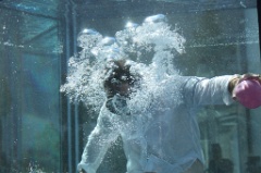 Dans ma Piscine 007 * 6000 x 4000 * (10.41MB)